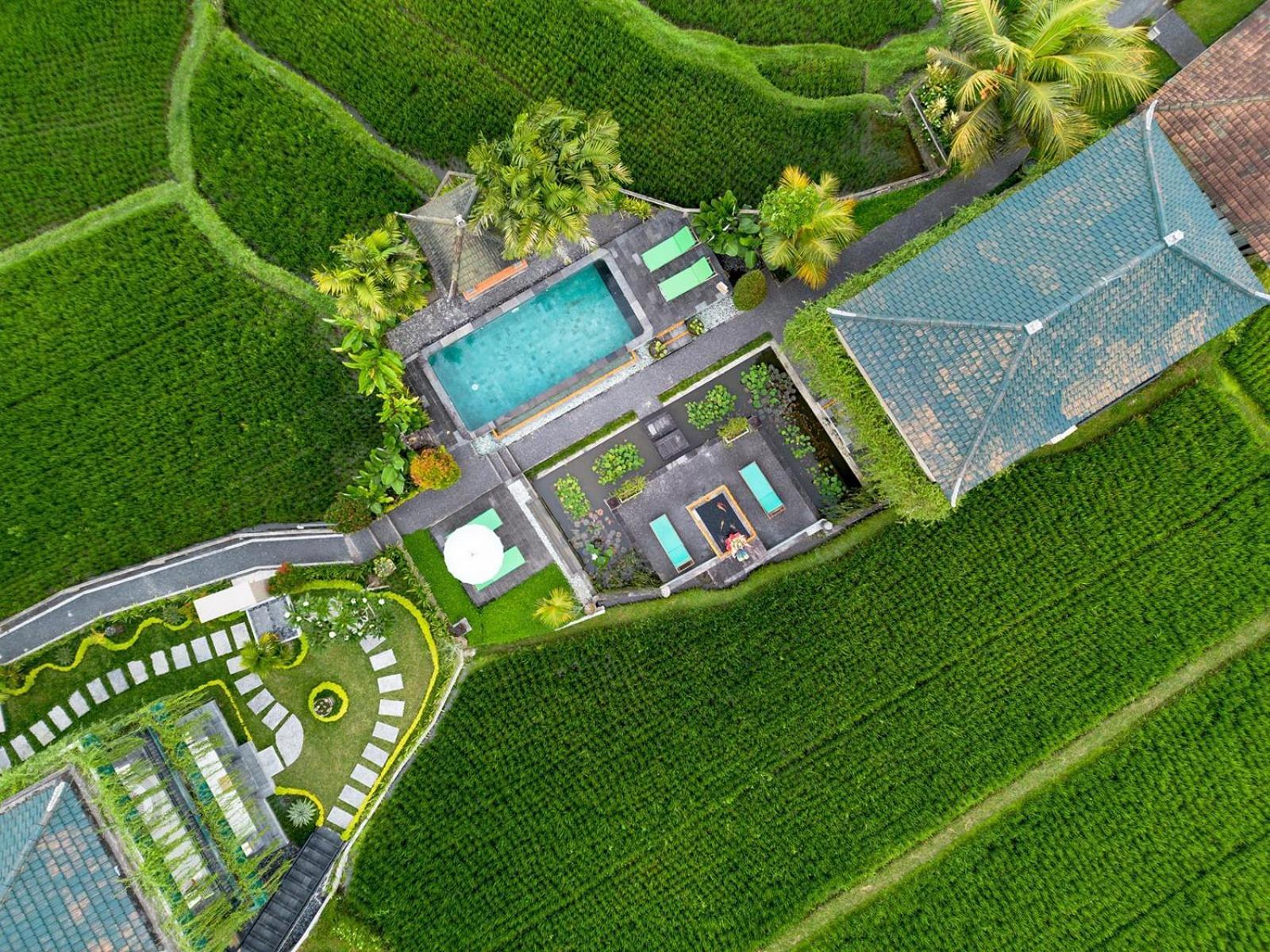 Cahaya Ubud Villa Экстерьер фото