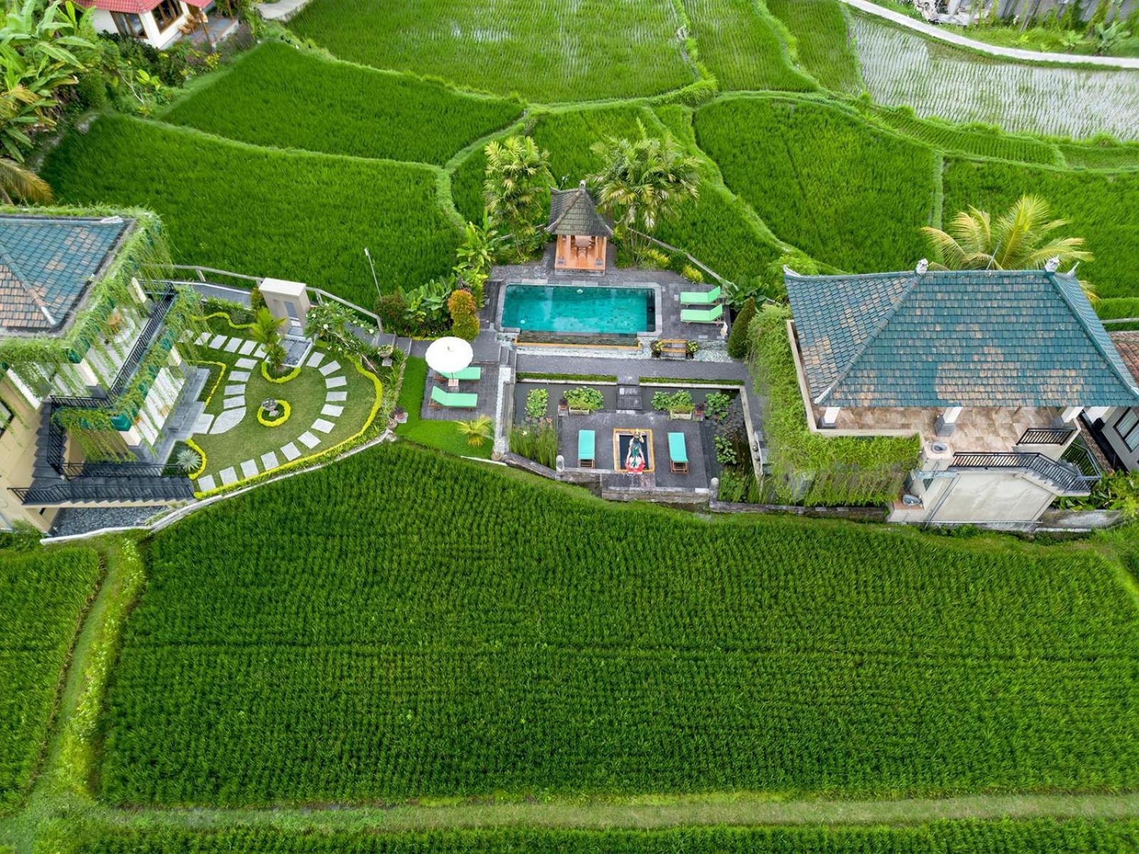 Cahaya Ubud Villa Экстерьер фото