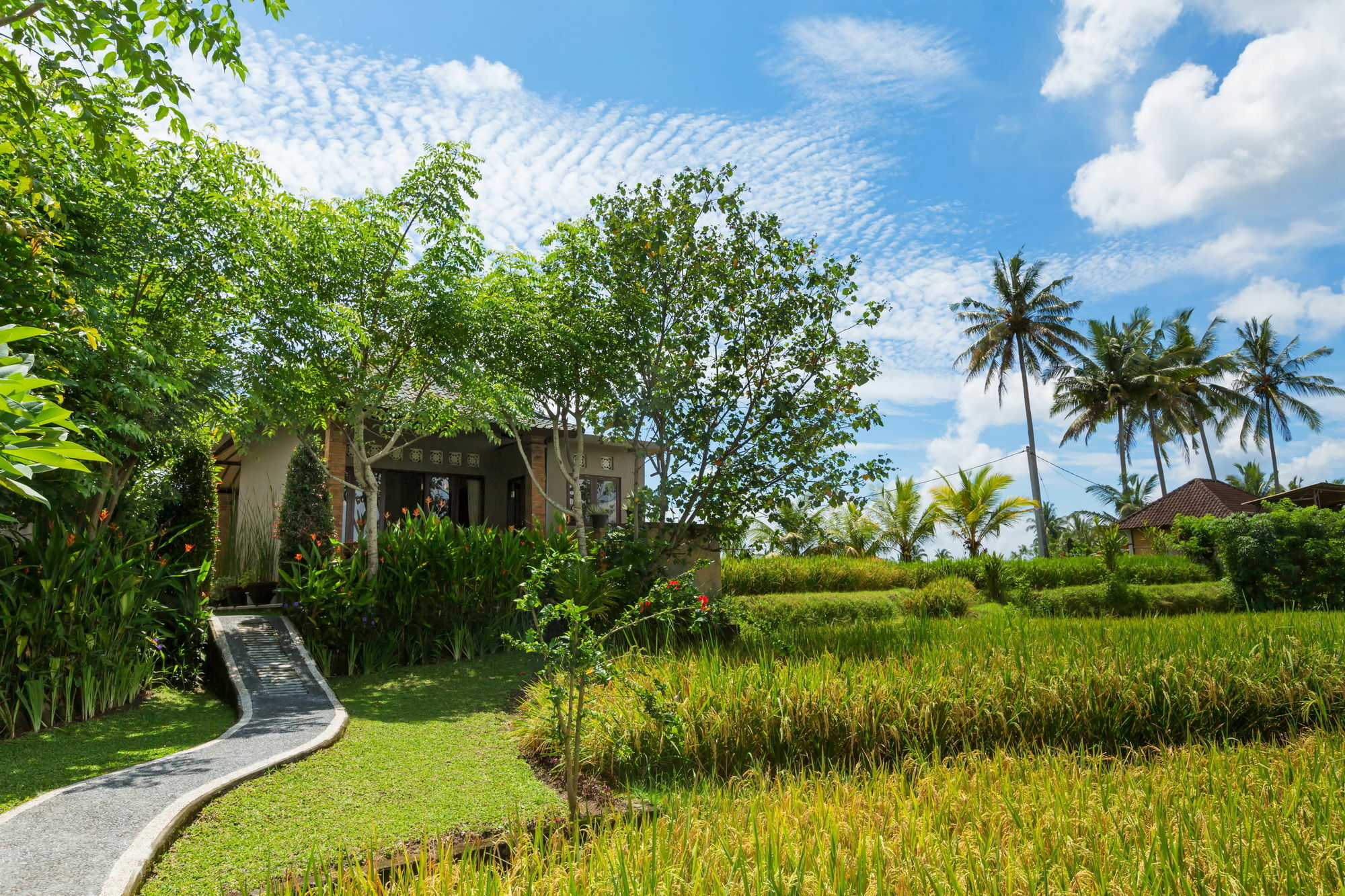 Cahaya Ubud Villa Экстерьер фото